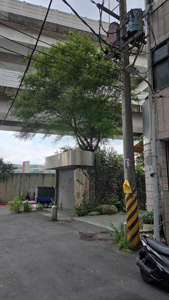 園藝設計案件圖片