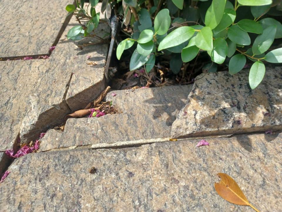 石材施工案件圖片