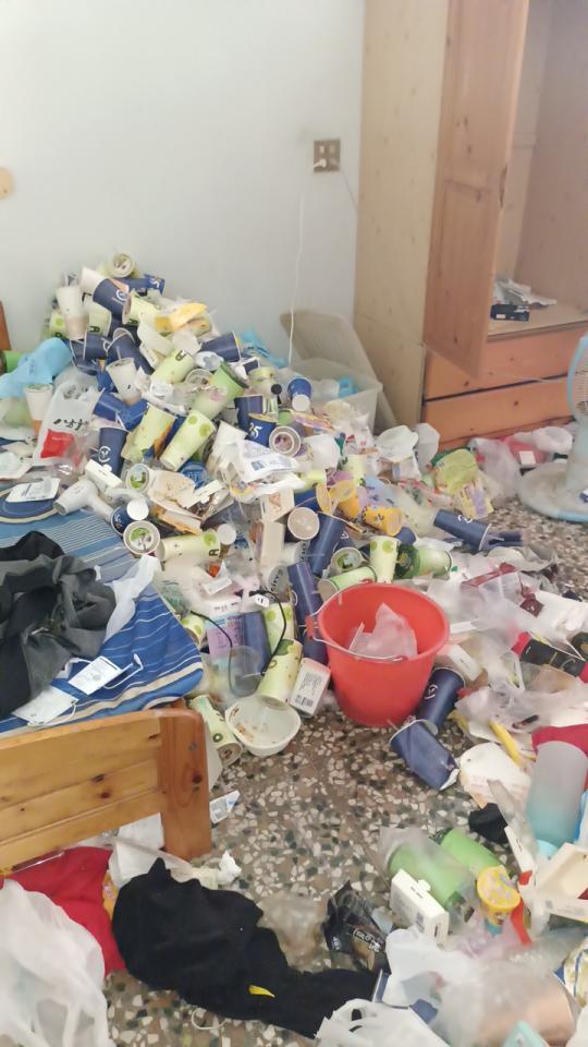 大型垃圾回收案件圖片