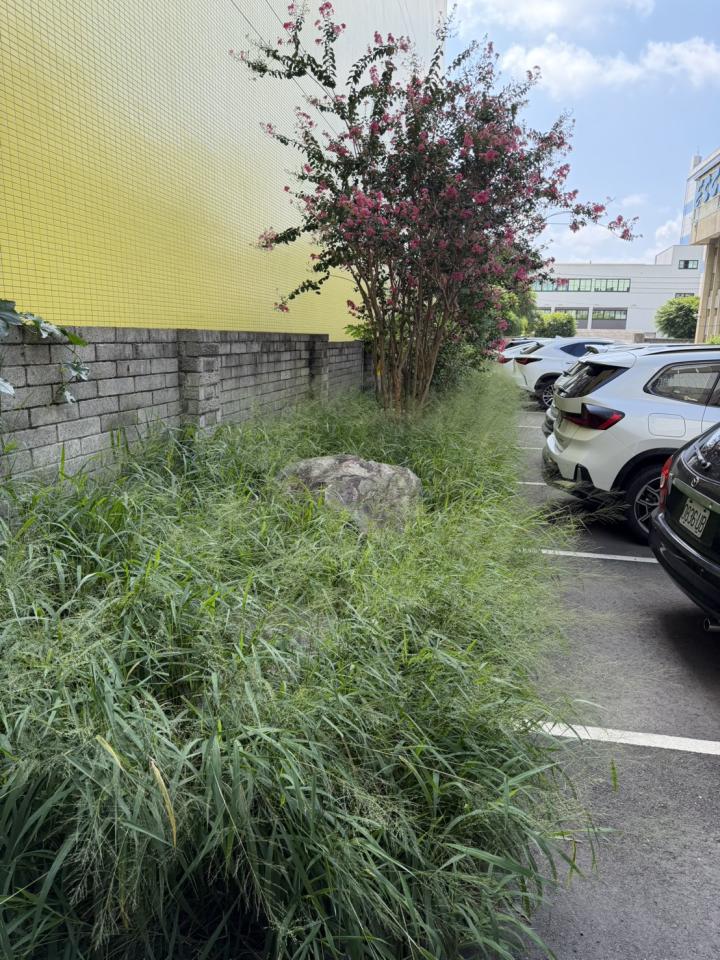 園藝維護案件圖片