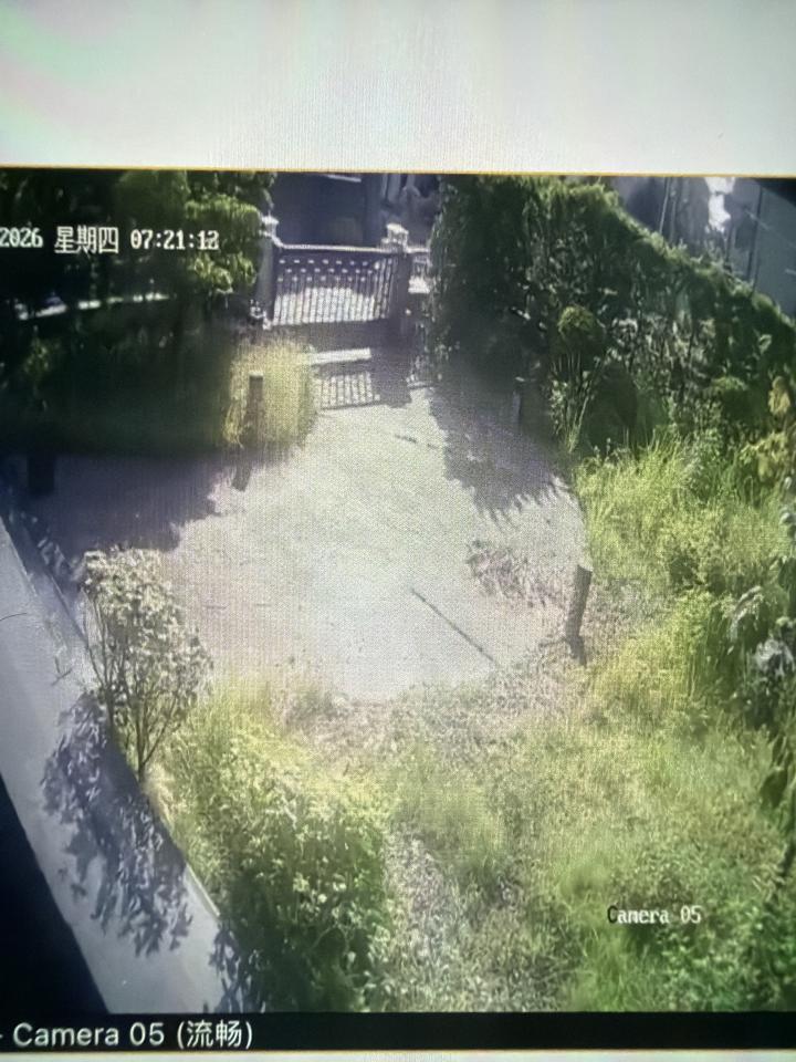 園藝維護案件圖片