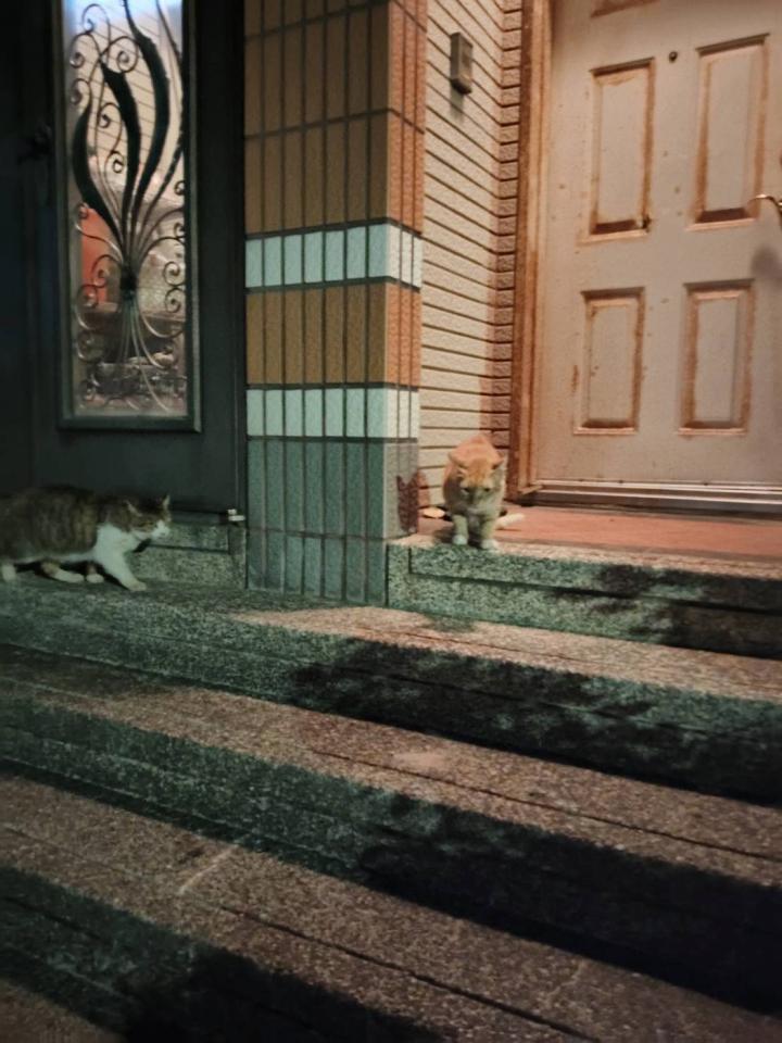 大門案件圖片