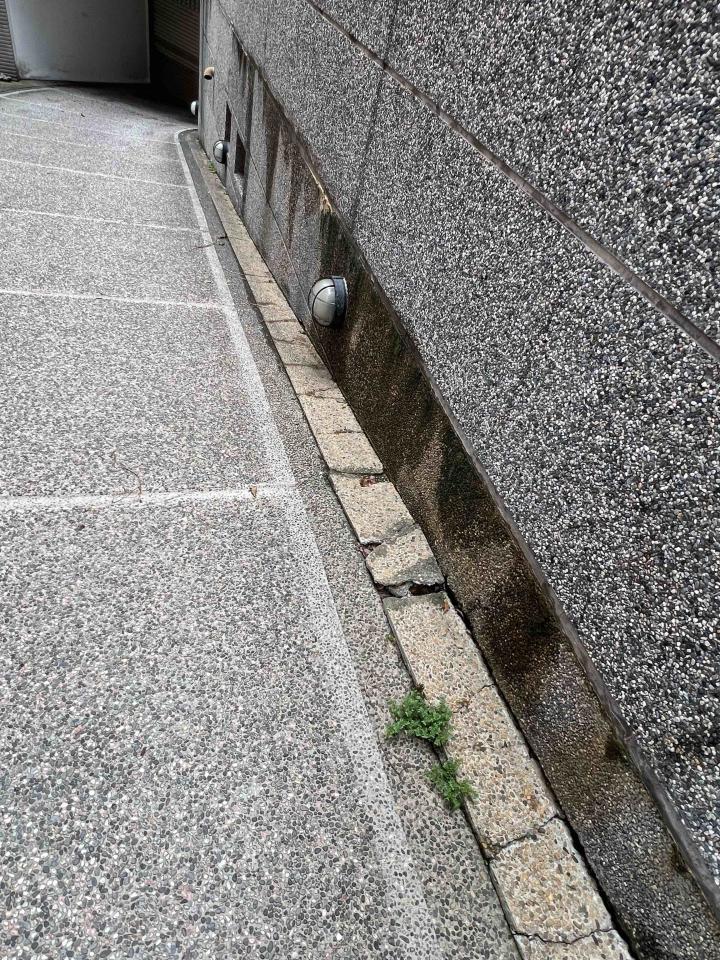 泥作/水泥施工案件圖片