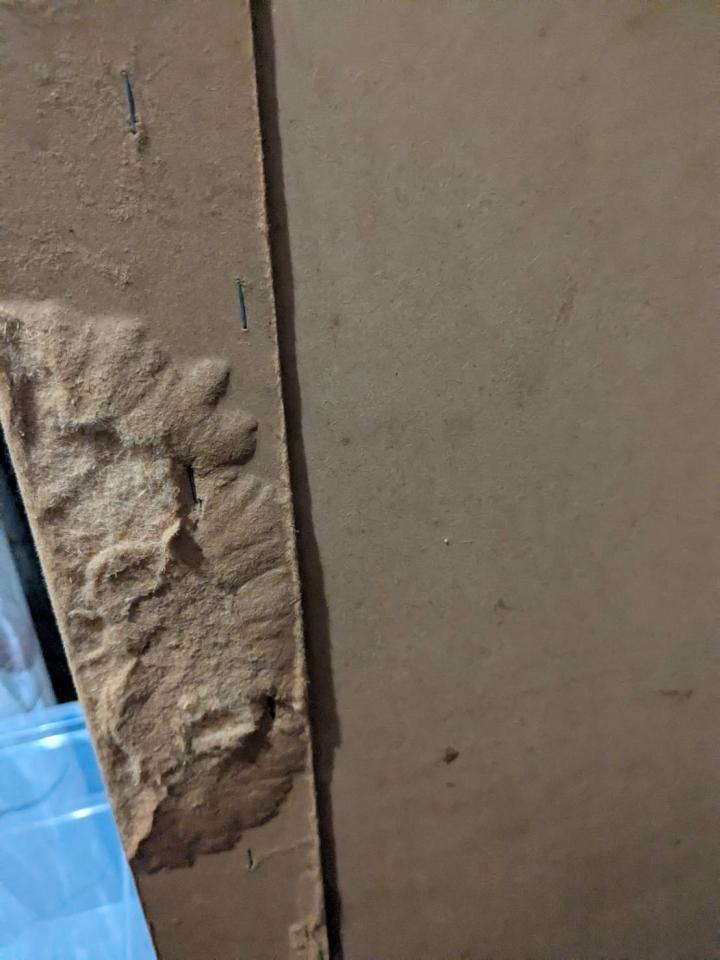木工施工案件圖片