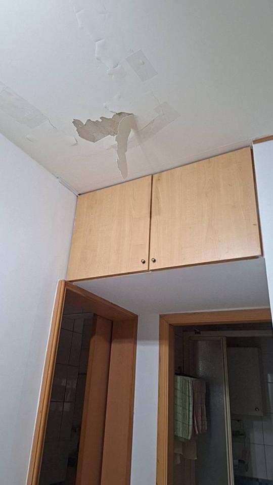 油漆工程案件圖片