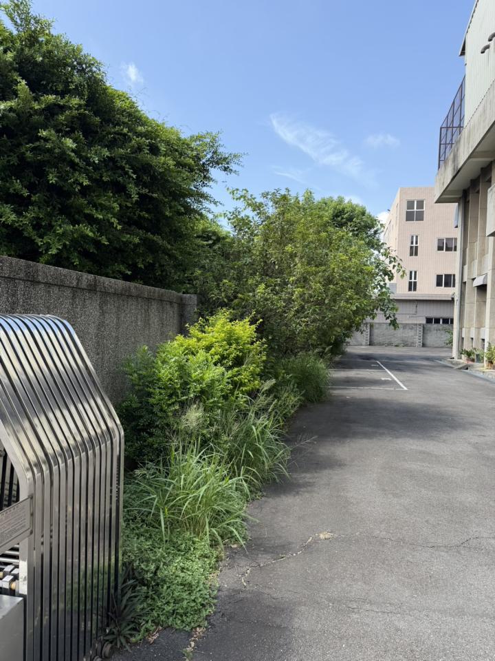 園藝維護案件圖片