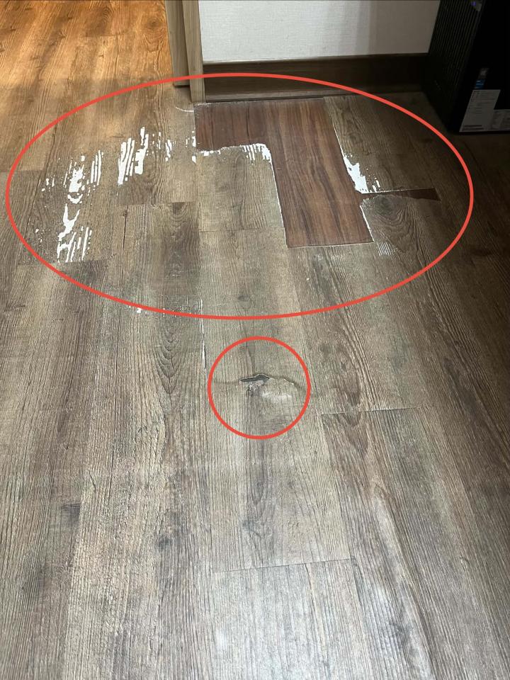 地板施工案件圖片