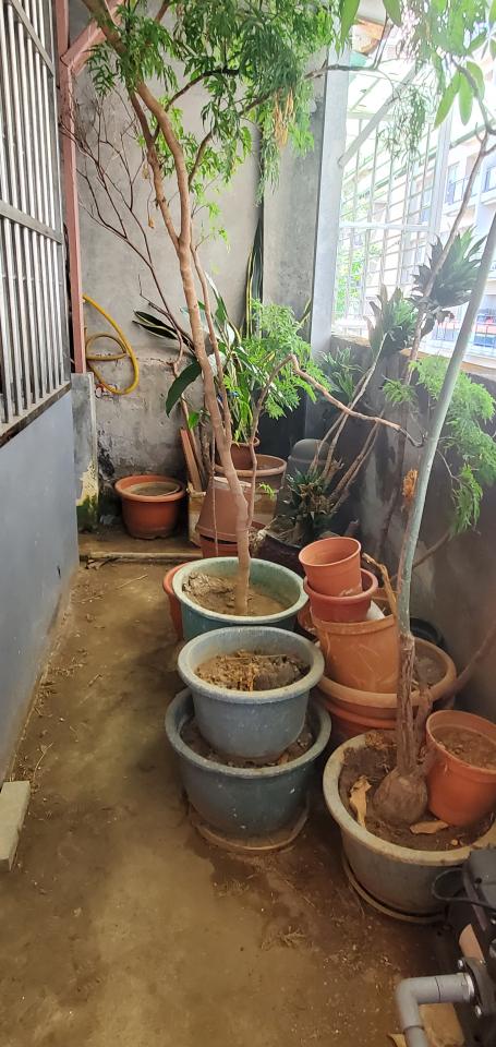 辦公家具回收案件圖片
