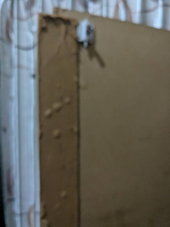 木工施工案件圖片