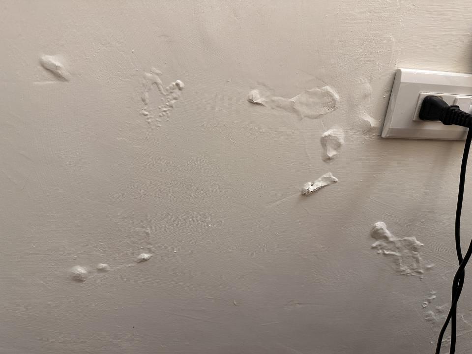 抓漏案件圖片