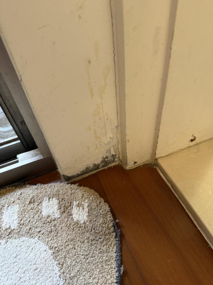 漏水處理案件圖片