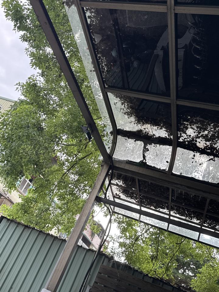 園藝維護案件圖片