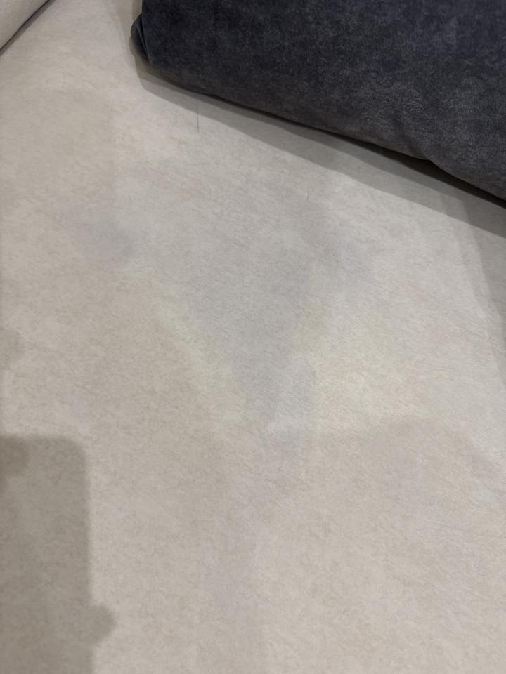 沙發清潔案件圖片