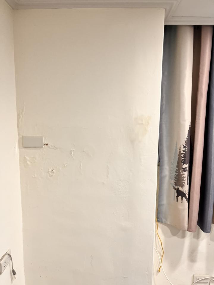 壁癌處理案件圖片