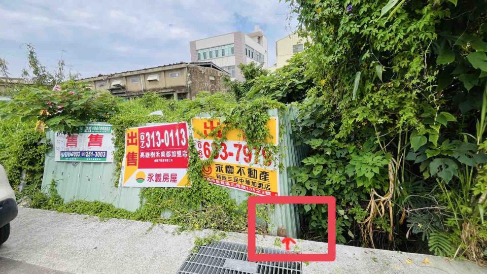 園藝維護案件圖片