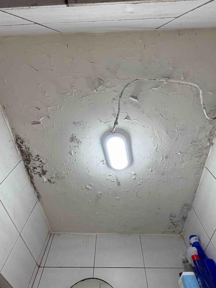 油漆工程案件圖片