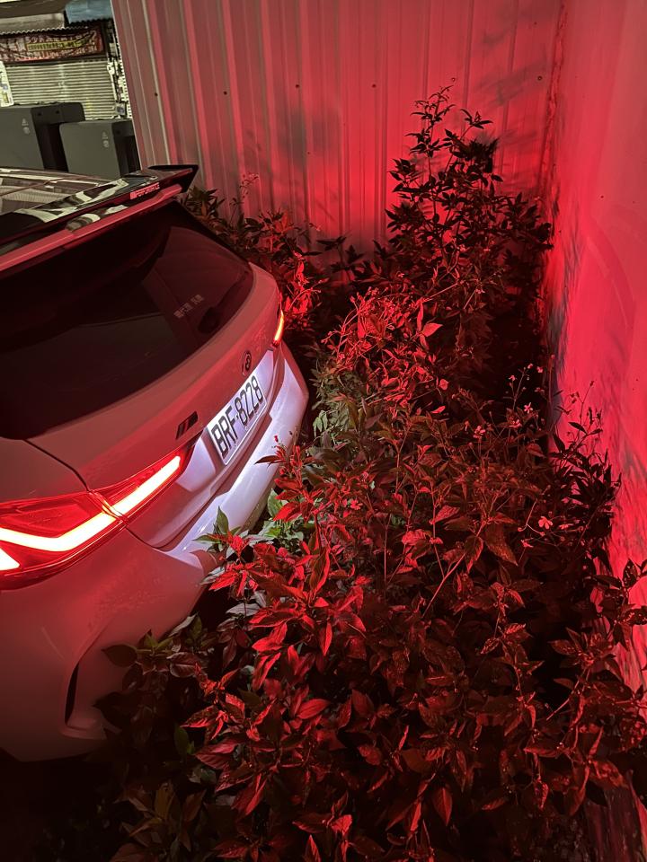 園藝維護案件圖片
