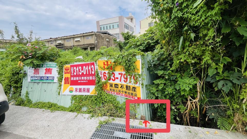 園藝維護案件圖片