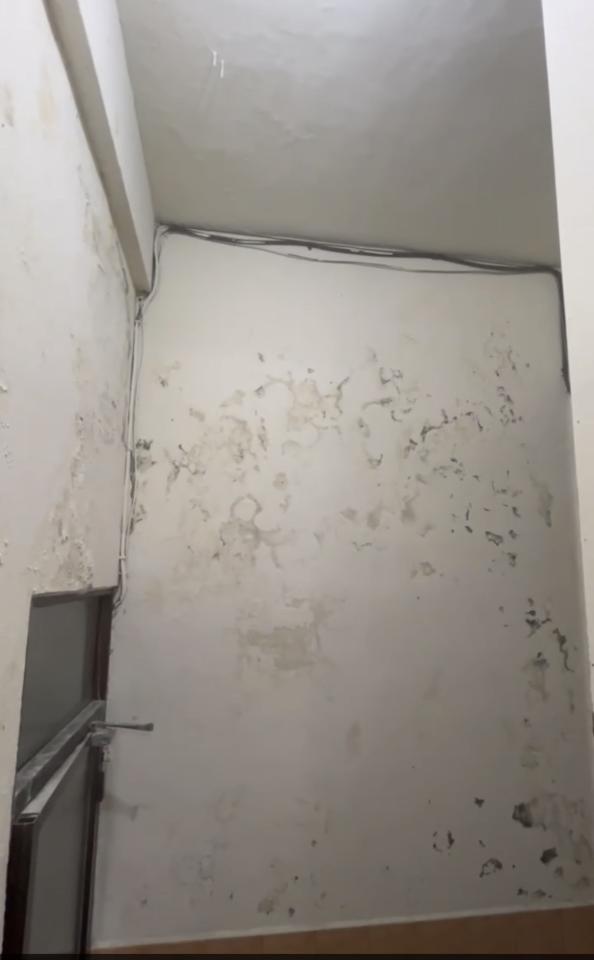 壁癌處理案件圖片