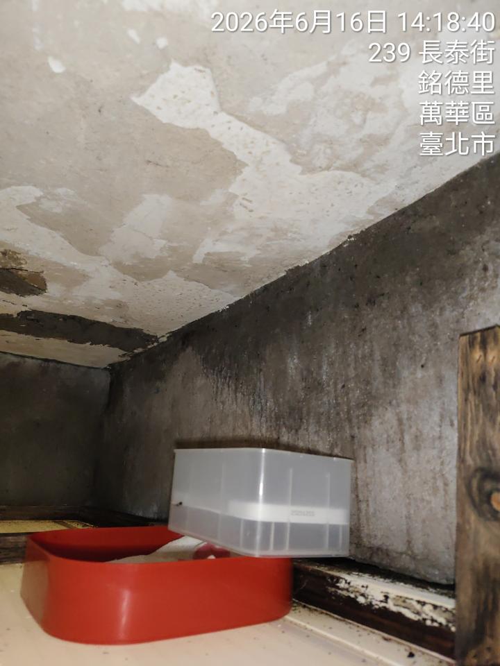 抓漏案件圖片