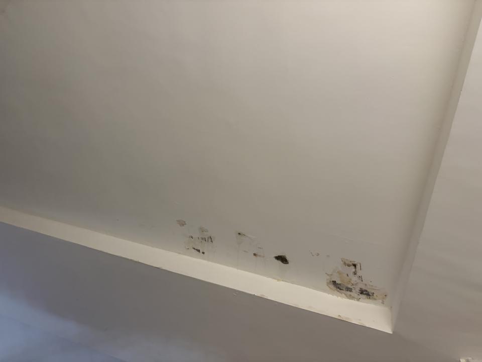 壁紙施工案件圖片