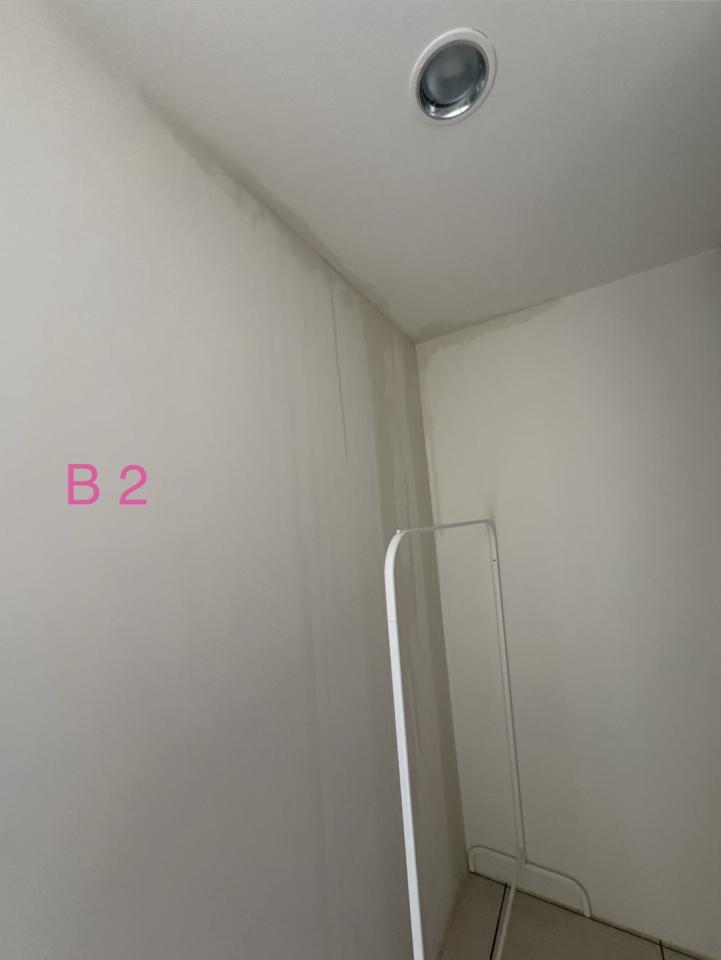 抓漏案件圖片