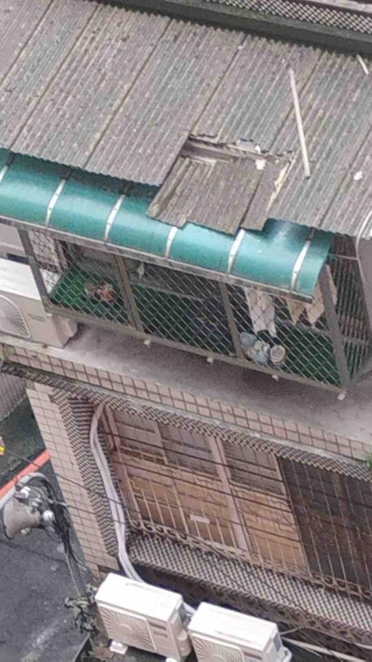 拆除工程案件圖片