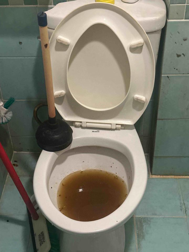 馬桶裝修案件圖片