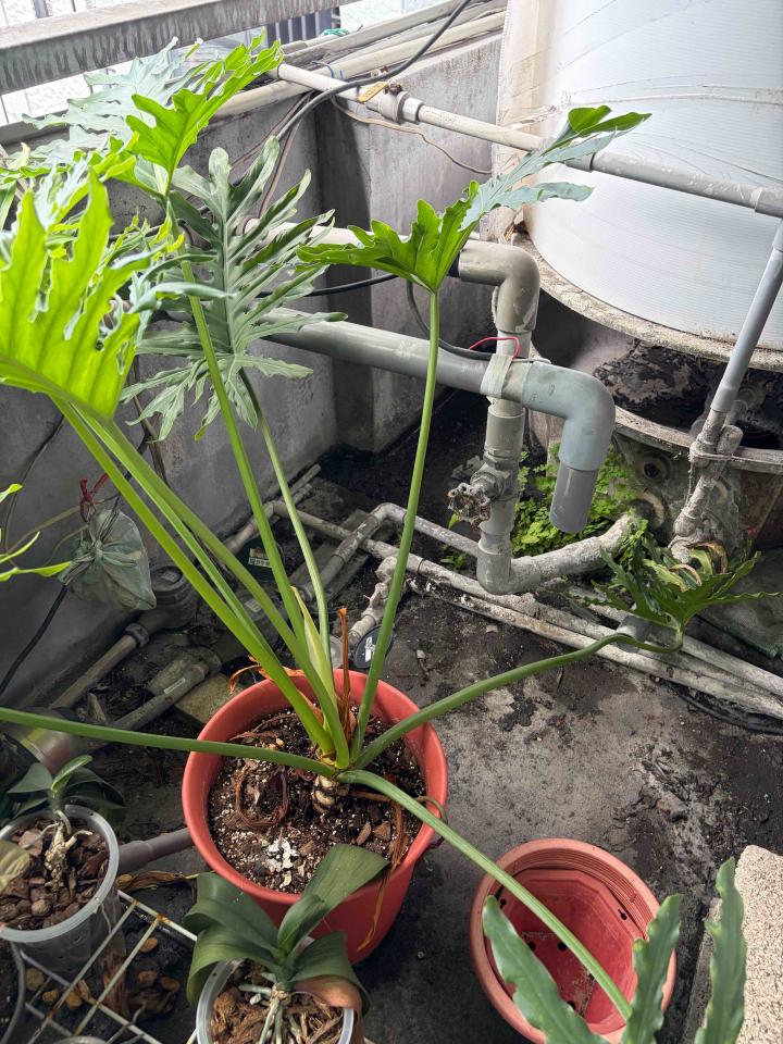 水電行案件圖片