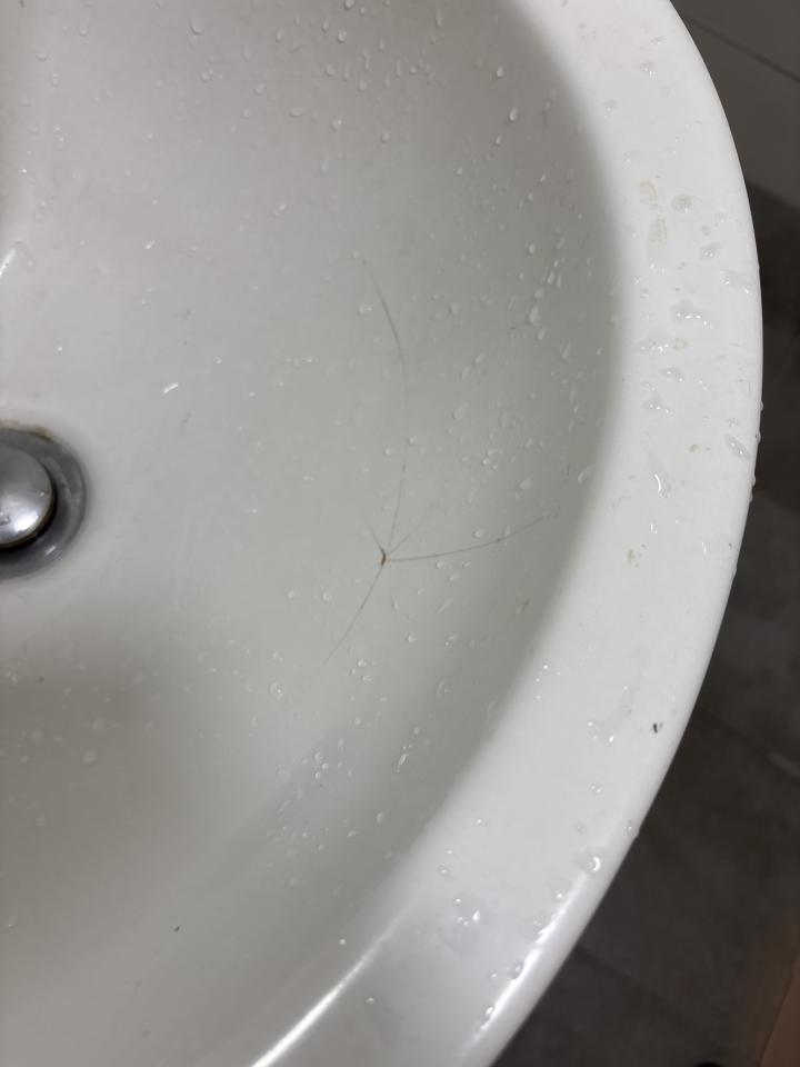 洗臉盆裝修案件圖片