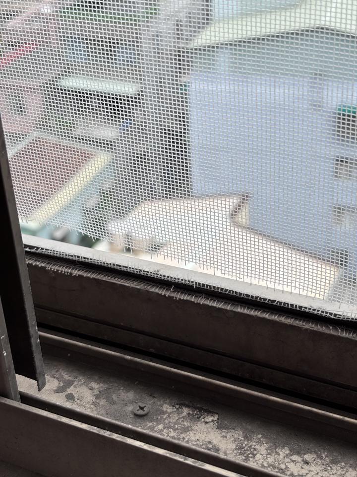 紗窗裝修案件圖片