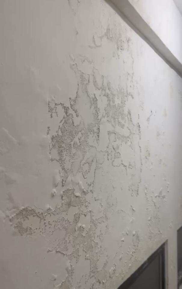 壁癌處理案件圖片