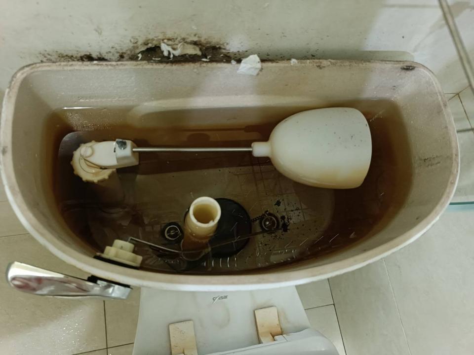 馬桶裝修案件圖片