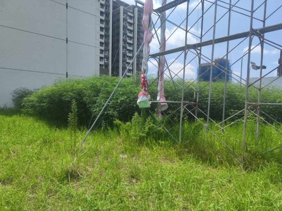 園藝維護案件圖片