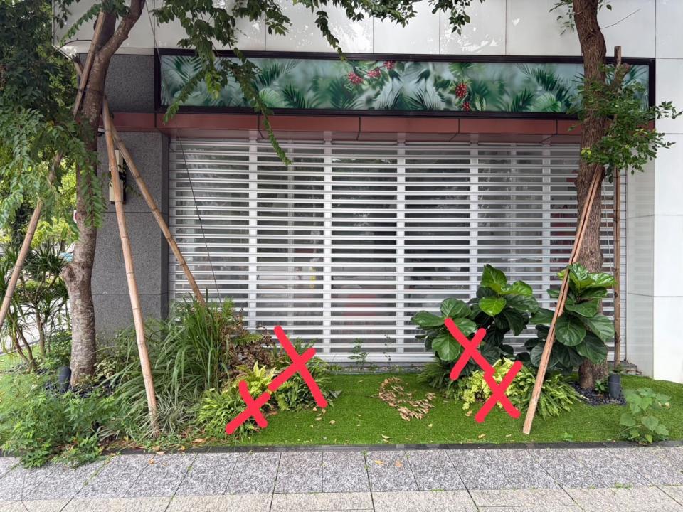 園藝維護案件圖片