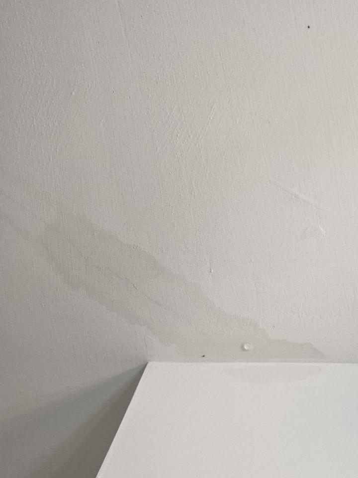 抓漏案件圖片