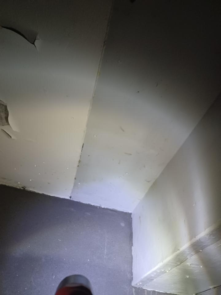抓漏案件圖片