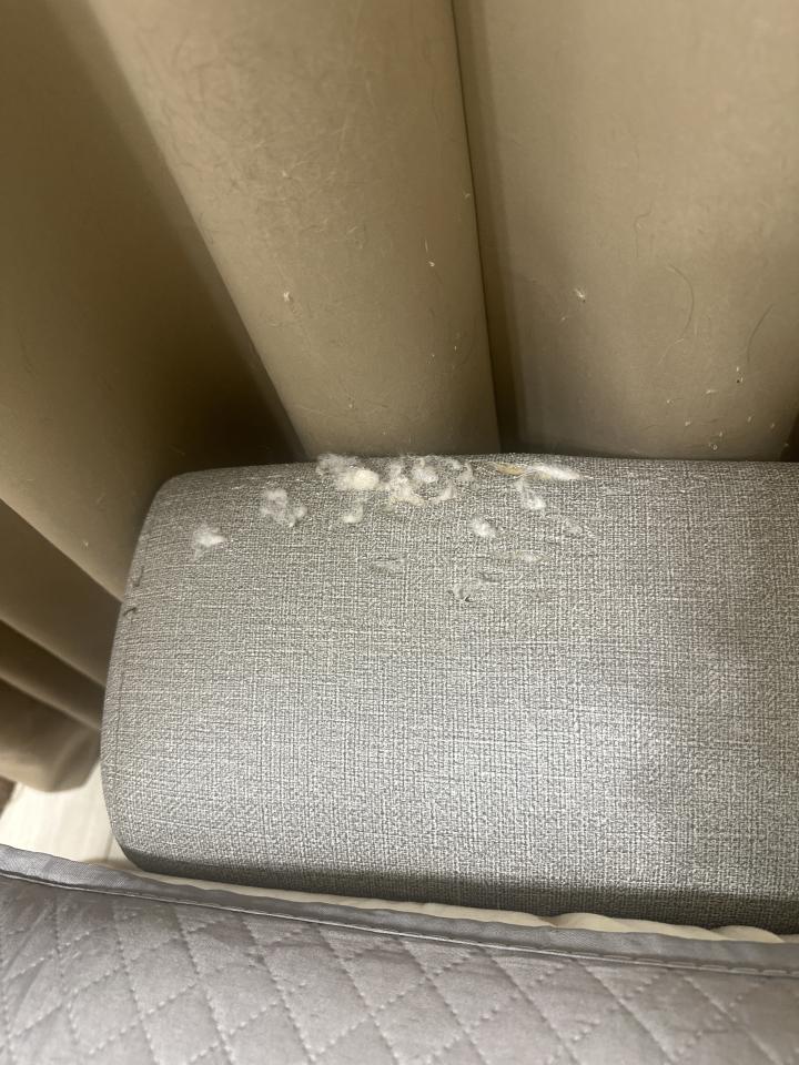 沙發修理案件圖片