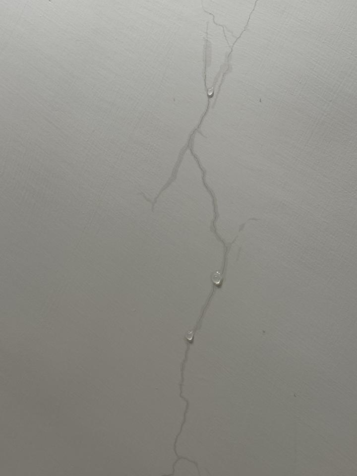 抓漏案件圖片