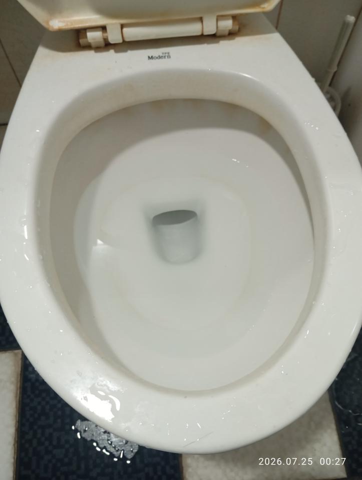 馬桶裝修案件圖片