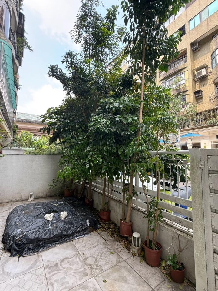 園藝維護案件圖片