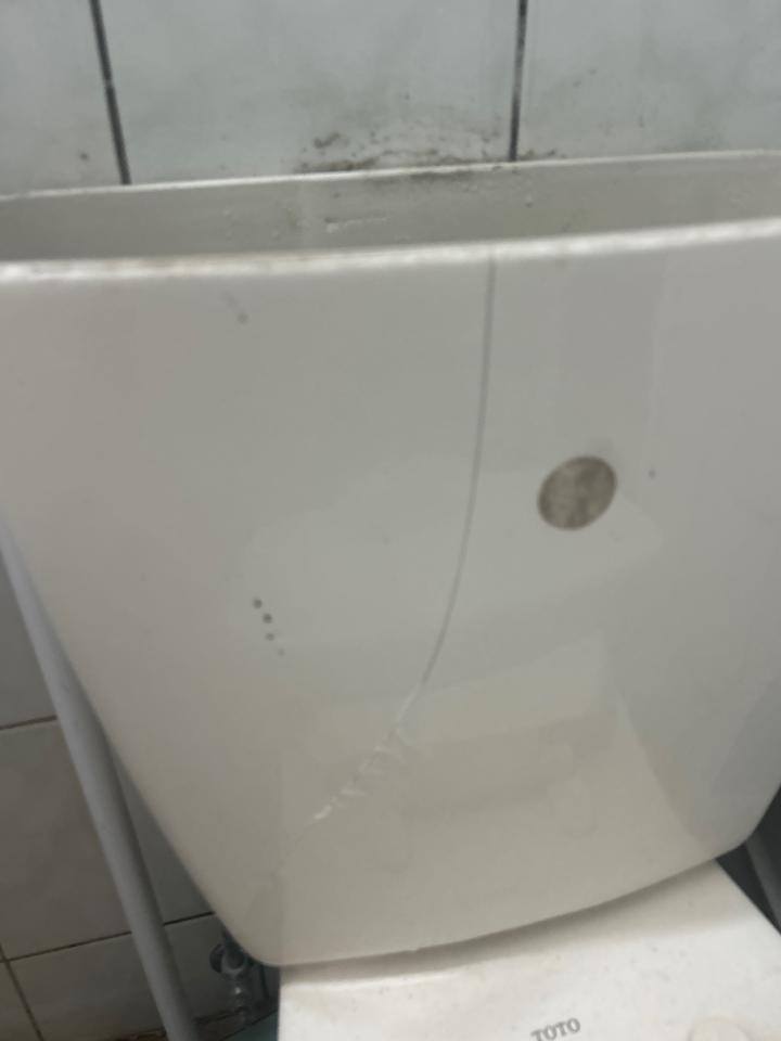 馬桶裝修案件圖片
