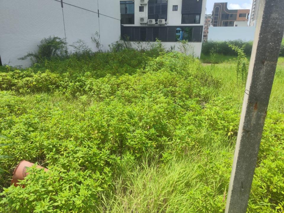 園藝維護案件圖片
