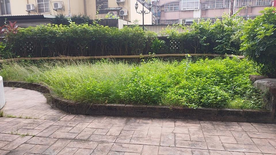 園藝維護案件圖片