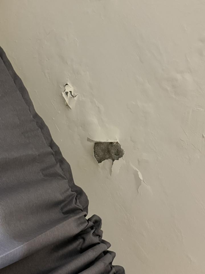 油漆工程案件圖片