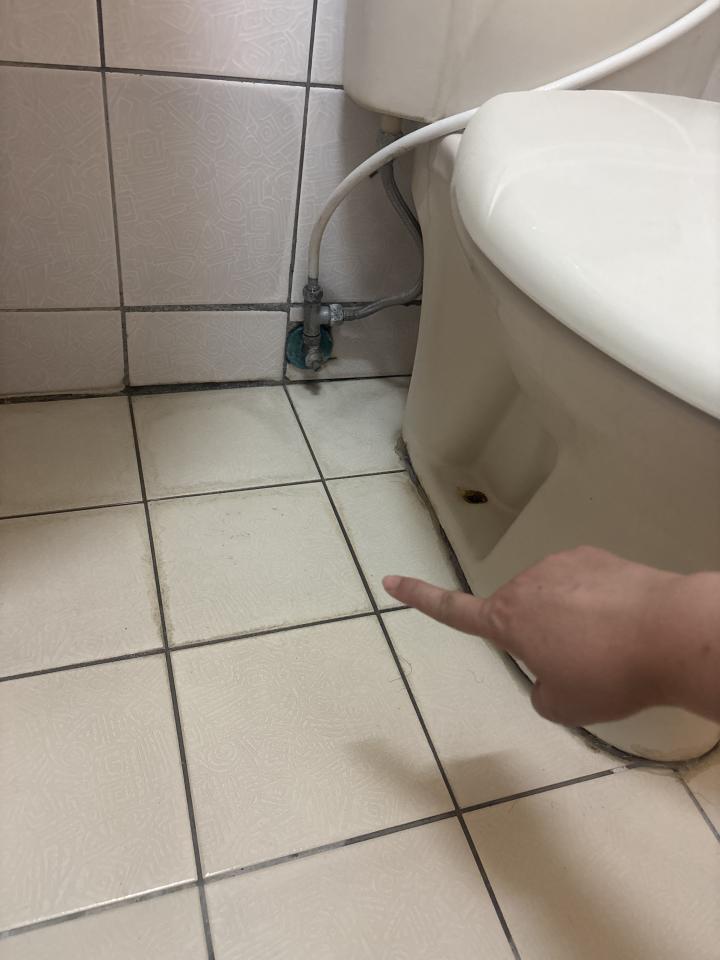 馬桶裝修案件圖片