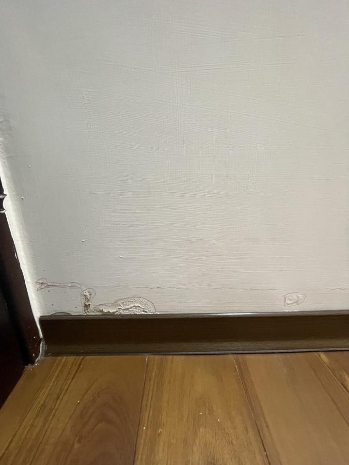 抓漏案件圖片