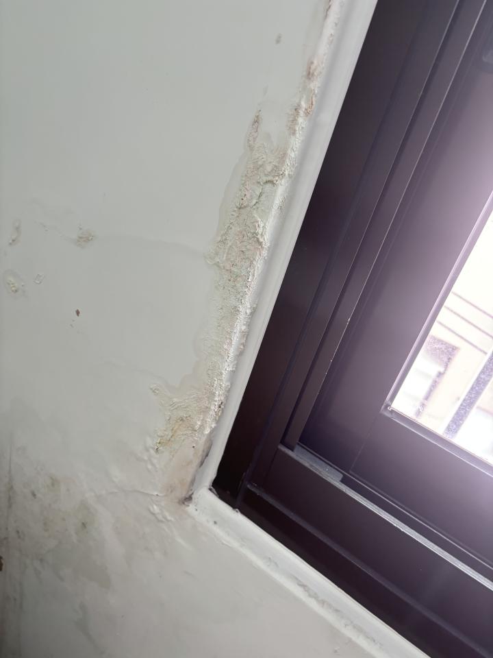 壁癌處理案件圖片