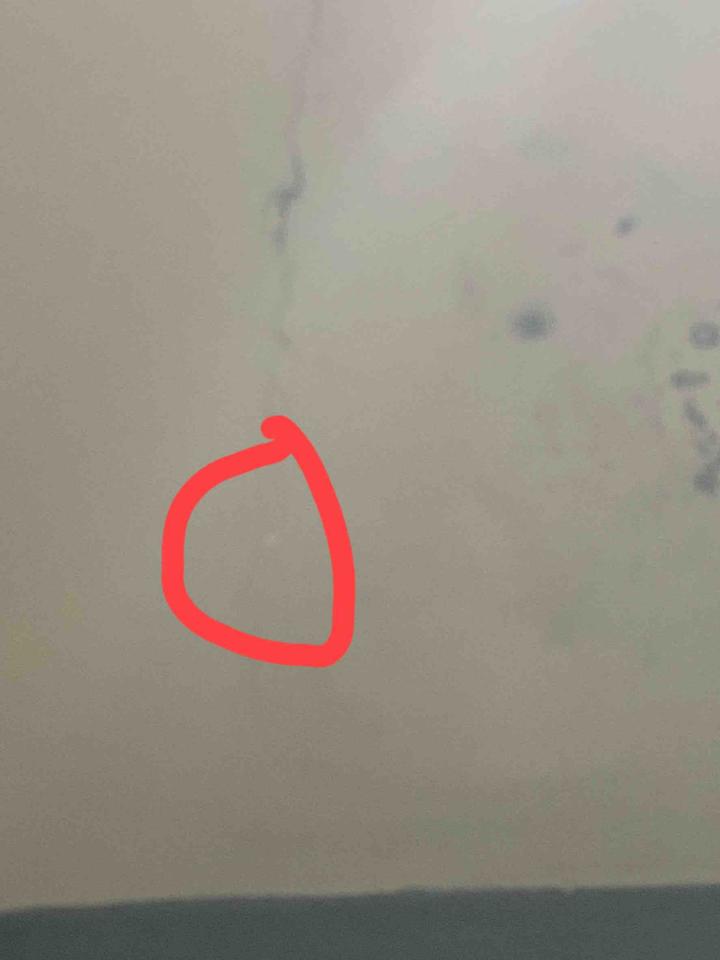 漏水處理案件圖片