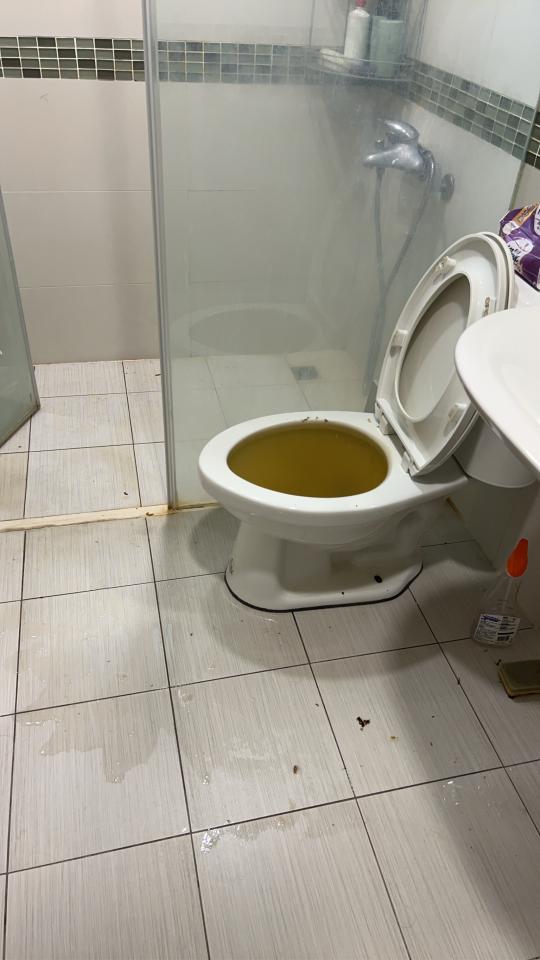 浴室除霉清潔案件圖片